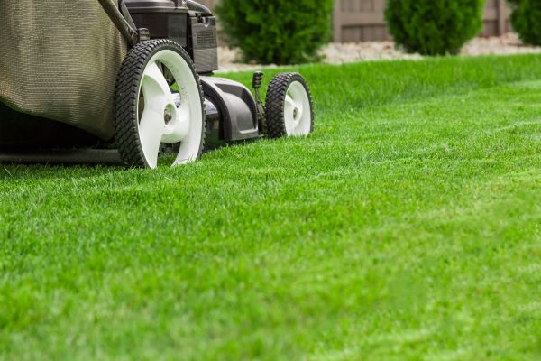 Utilization of High-Quality Lawn Care Equipment!