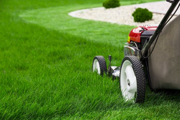 Meeting the Growing Demand for Lawn Care Services!