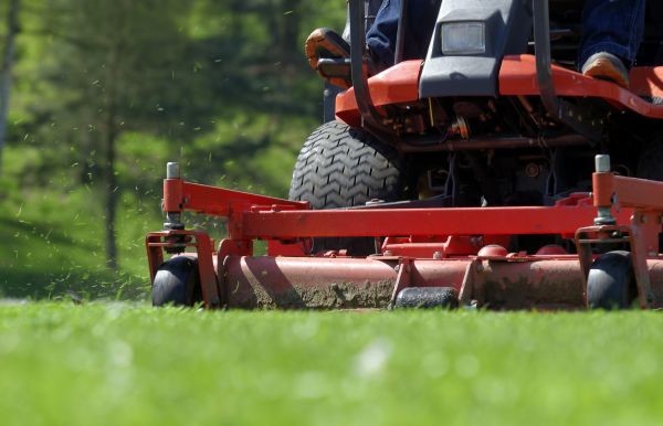 Lawn Mowing Franchise